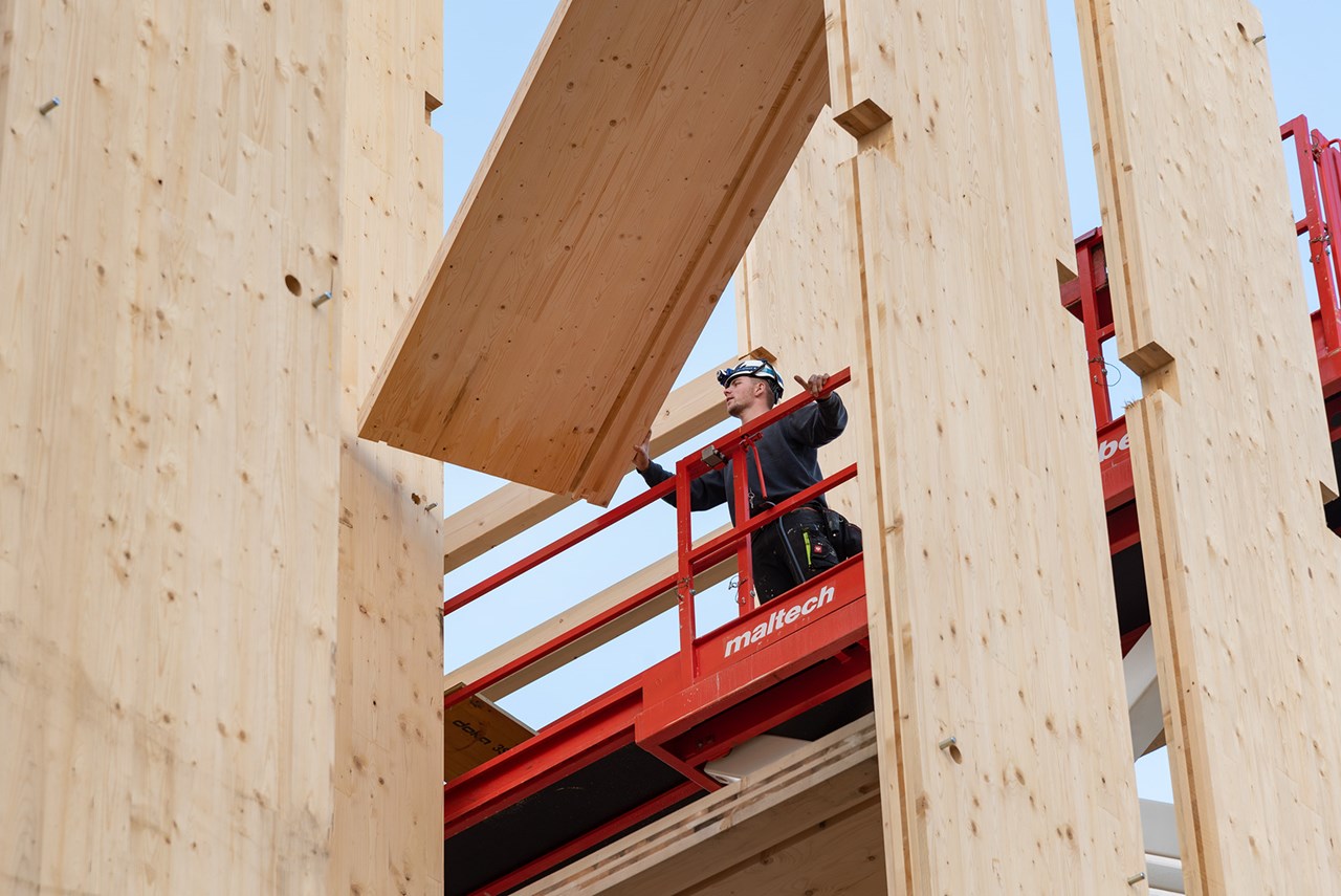 DSC8131 Kopie DSC8131 Kopie