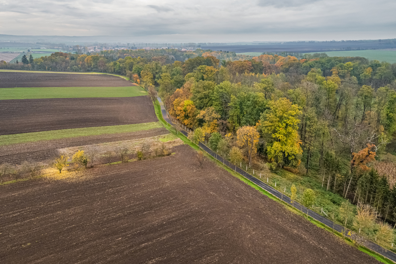 Cyklostezka Šlapanicko - Straßen- und Brückenbau