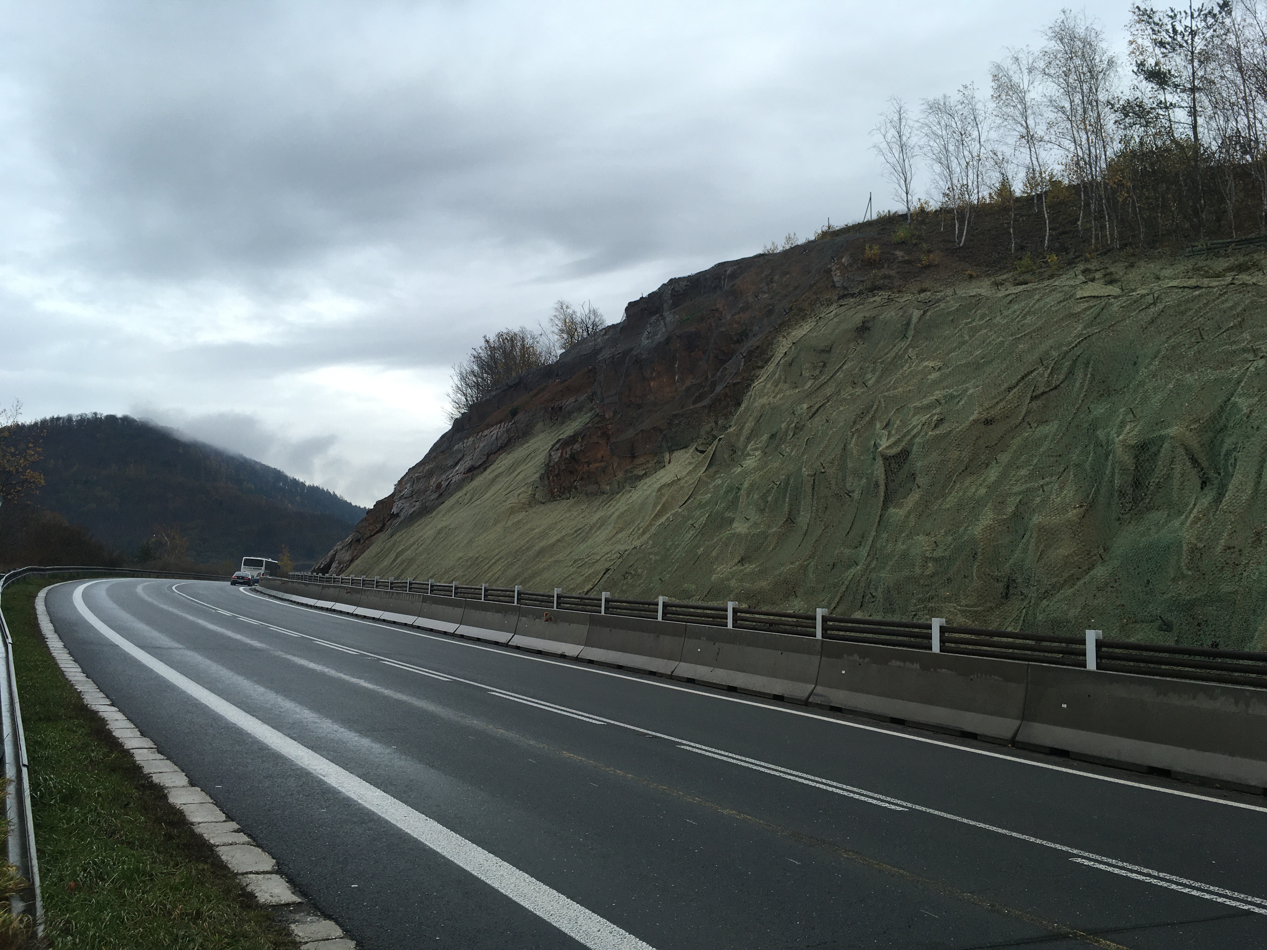 Silnice I/35, Moravská Třebová – sanace skalní stěny        - Spezialkompetenzen