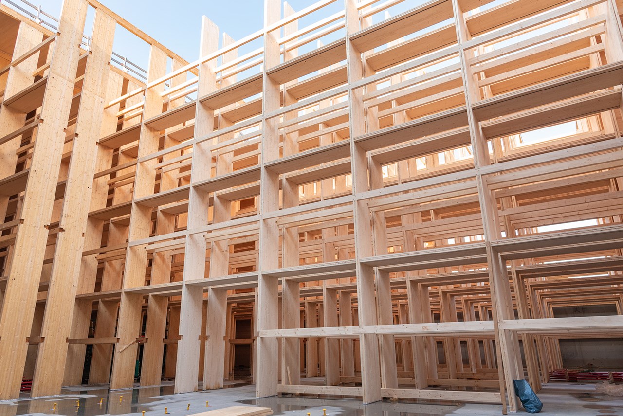 DSC8163 Kopie DSC8163 Kopie