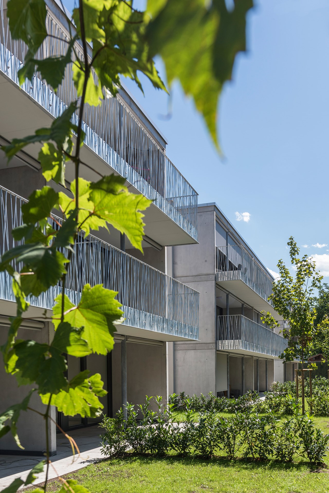 Wohnbau, Bifangstraße, Feldkirch - Hochbau Wohnbau, Bifangstraße, Feldkirch - Hochbau