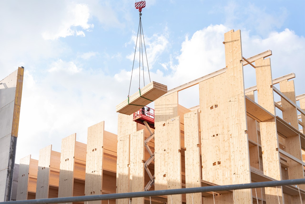 DSC8119 Kopie DSC8119 Kopie