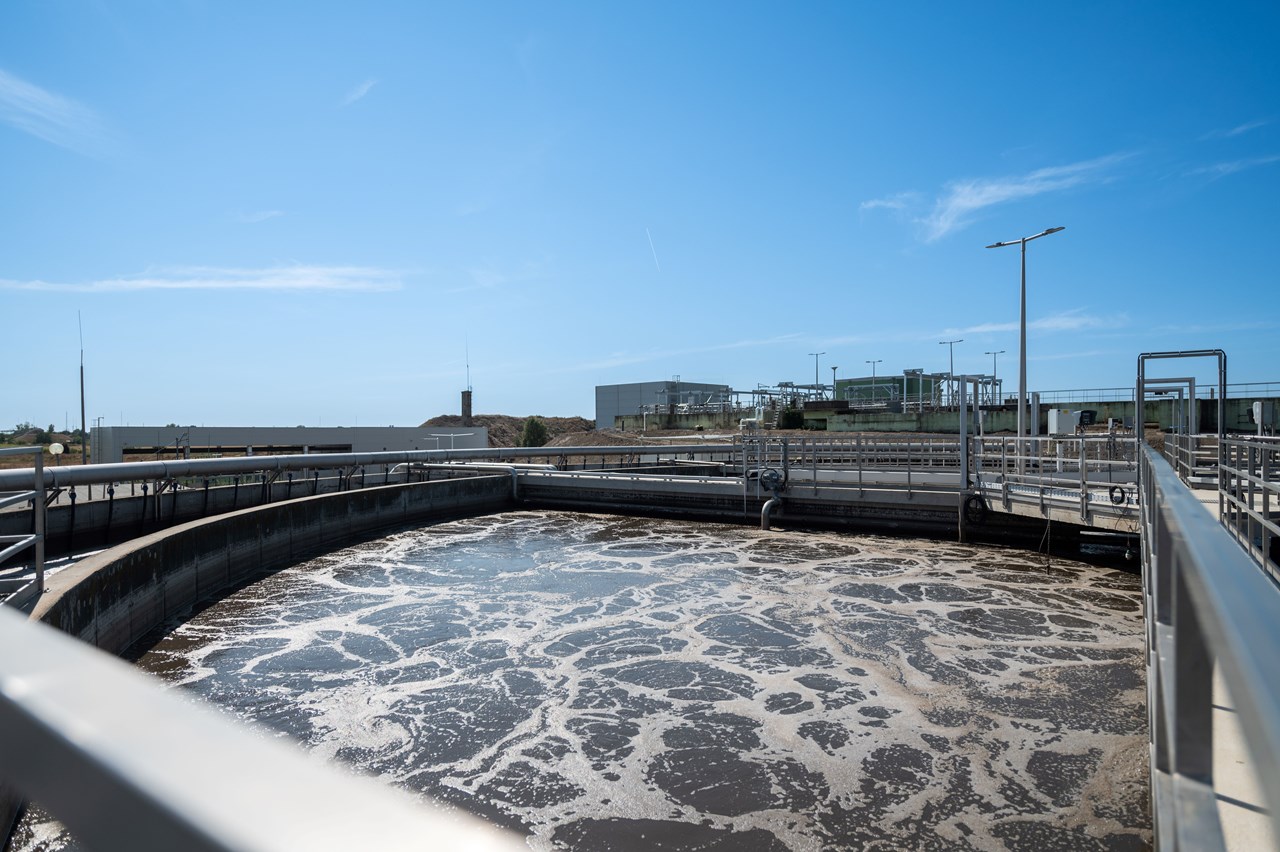 HD 240812 EM 2519 HD 240812 EM 2519