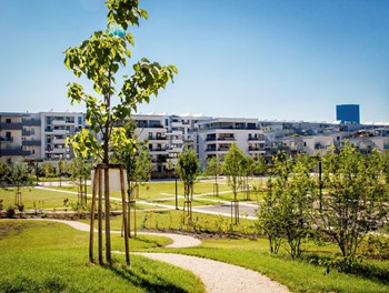 Frühlingsgefühle - AT