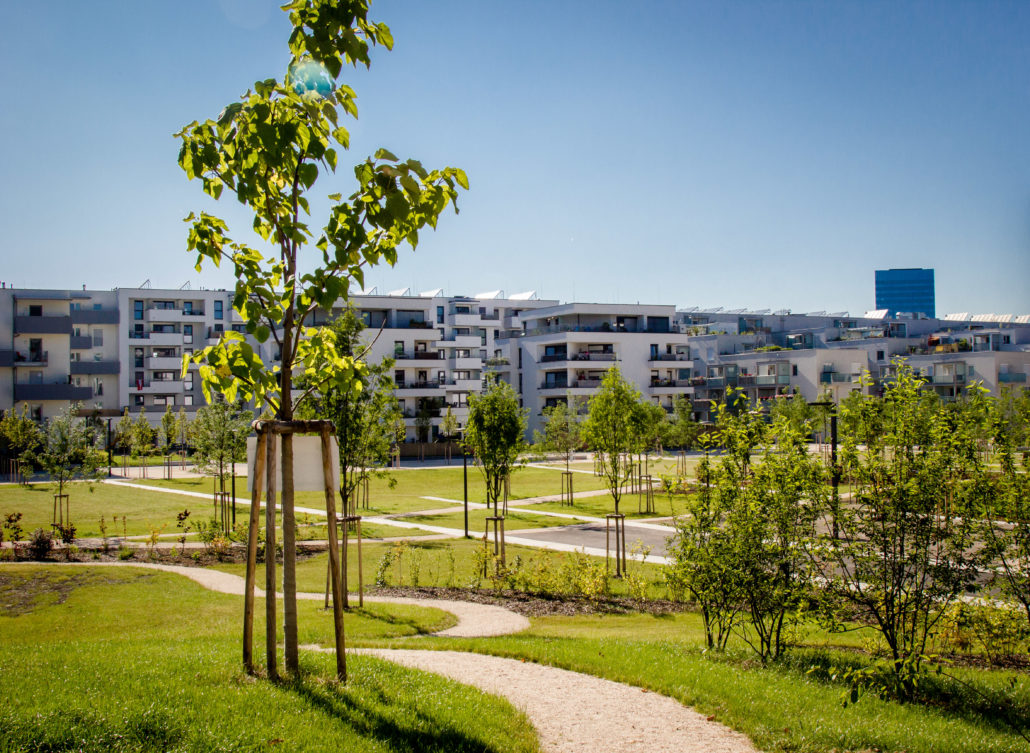 Grüne Mitte Linz - Spezialkompetenzen